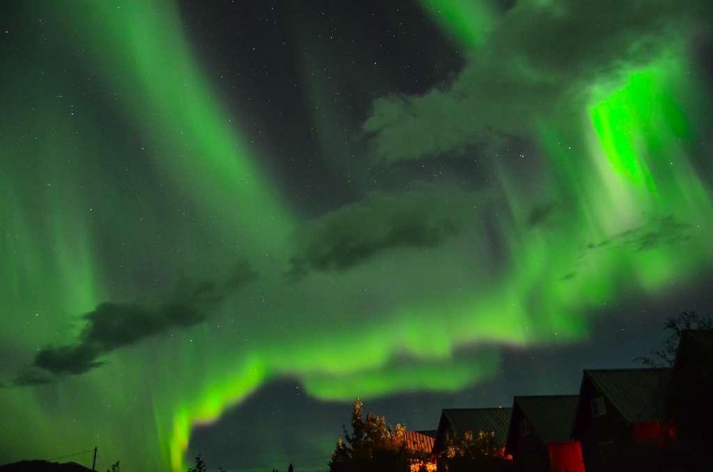 Denali National Park - an unusual holiday destinations to travel off the beaten path in Alaska