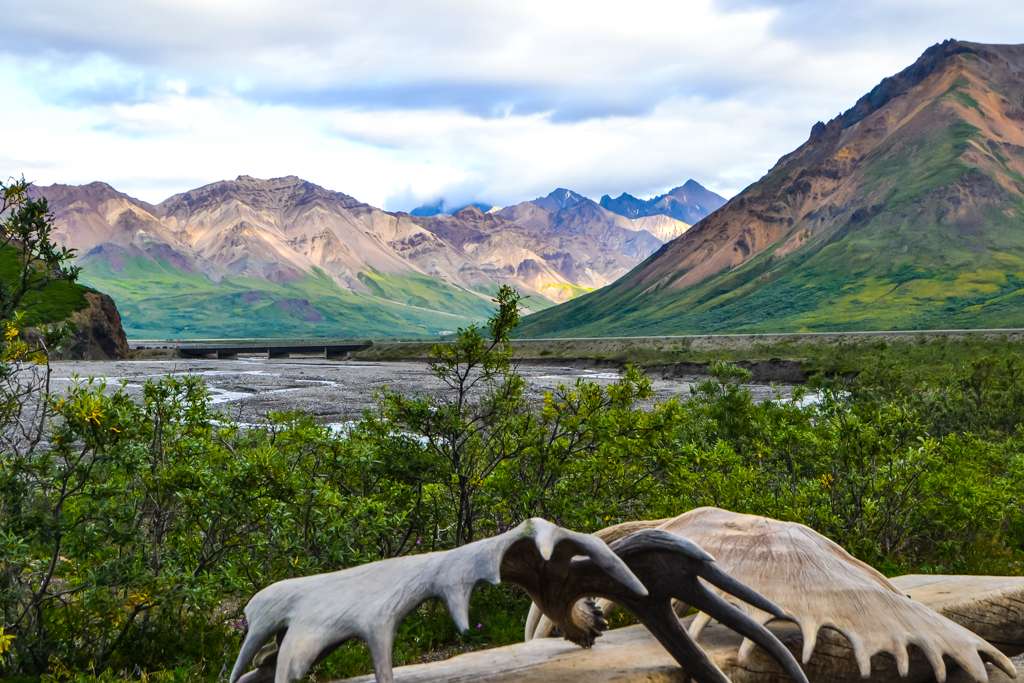 Denali National Park - an unusual holiday destinations to travel off the beaten path in Alaska