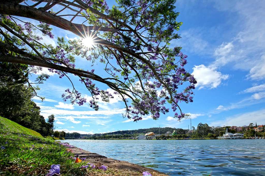 Dalat - an unusual holiday destinations to travel off the beaten path in Vietnam